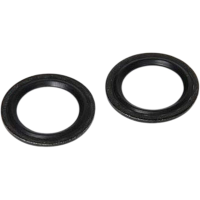 O-Ring by ACDELCO - 15-33898 pa1