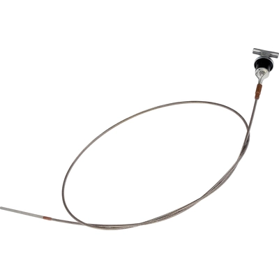 Oil Dipstick by DORMAN - 9176005 pa1