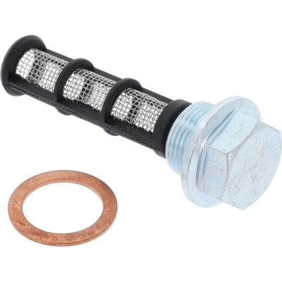 CORTECO - 49379146 - Oil Drain Plug pa3