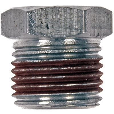 DORMAN (OE SOLUTIONS) - 090-205 - Transfer Case Oil Drain Plug pa2