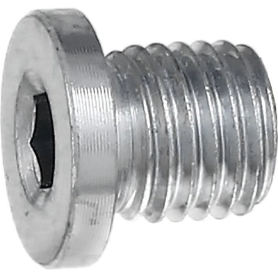 Oil Drain Plug by ELRING - DAS ORIGINAL - 587.190 pa4