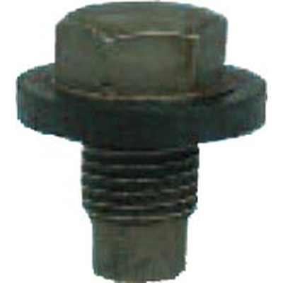 Oil Drain Plug (Pack of 2) by FMSI AUTOMOTIVE HARDWARE - 1032 pa1