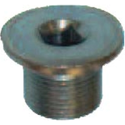 Oil Drain Plug (Pack of 2) by FMSI AUTOMOTIVE HARDWARE - 1047 pa1
