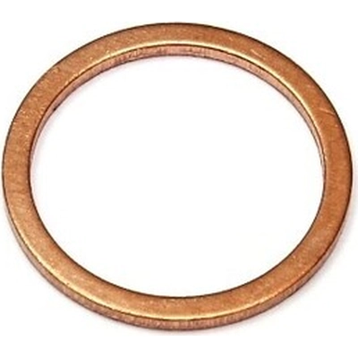 Oil Drain Plug Gasket by ELRING - DAS ORIGINAL - 120.782 pa1