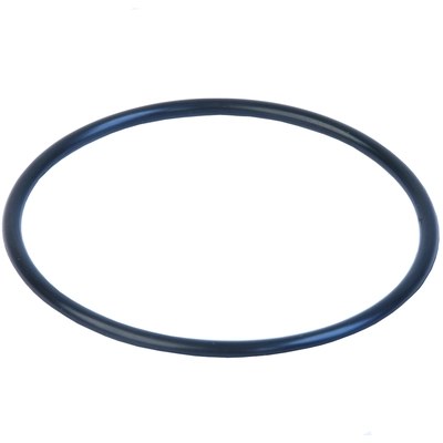 URO - 11421741000 - Oil Filter Adapter Gasket pa1