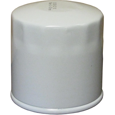 ECOGARD - X6161 - Oil Filter pa1