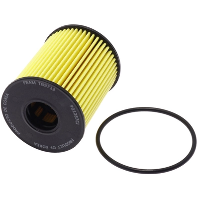 FRAM - TG9713 - OIL FILTER pa2