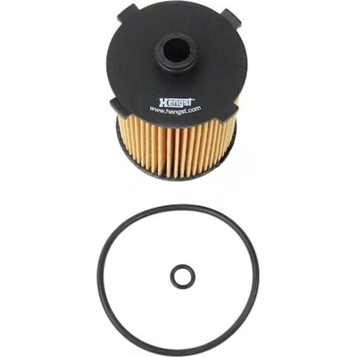 Oil Filter by HENGST FILTER - E1006H-D802 pa1