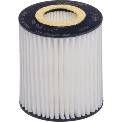 Oil Filter by HENGST FILTER - E166H-D538 pa1