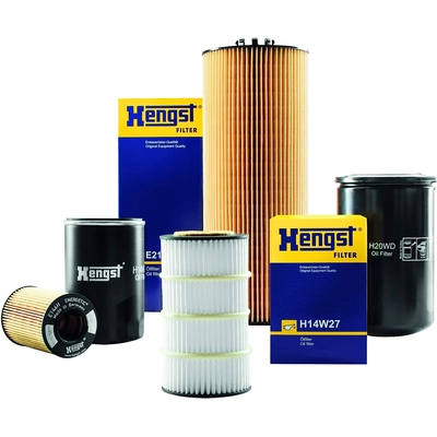 HENGST FILTER - E217H-D310 - Oil Filter pa1