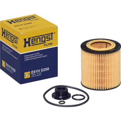 HENGST FILTER - E61H-D258 - Oil Filter Insert With Gasket Set pa2