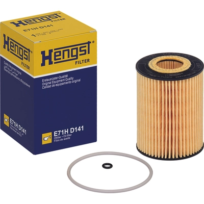 HENGST FILTER - E71H-D141 - Oil Filter Insert With Gasket Set pa4