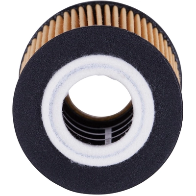 Oil Filter by PRONTO FILTERS - PO5505 pa2