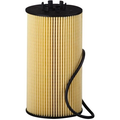 PRONTO FILTERS - PO5579EX - Engine Oil Filter pa4