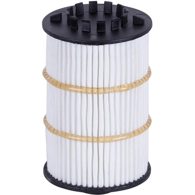 PRONTO FILTERS - PO9981EX - Engine Oil Filter pa2