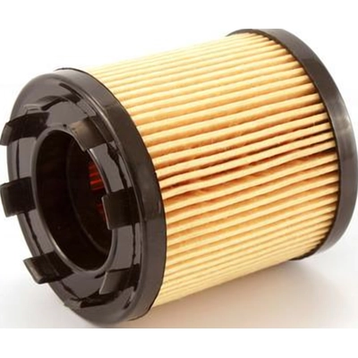 TRANSIT WAREHOUSE - 56-CH9018 - Oil Filter pa6