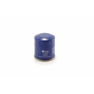 TRANSIT WAREHOUSE - LOP-LP6607 - Oil Filter pa6