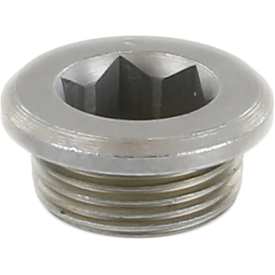 Oil Galley Plug by CRP/REIN - HWP0065 pa2