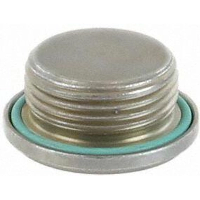 Oil Galley Plug by CRP/REIN - HWP0065 pa3