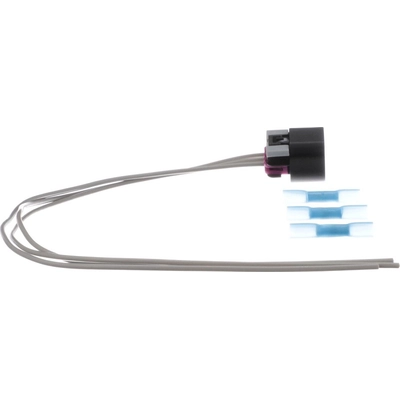 STANDARD - PRO SERIES - S1025 - Air Suspension Compressor Motor Connector pa8