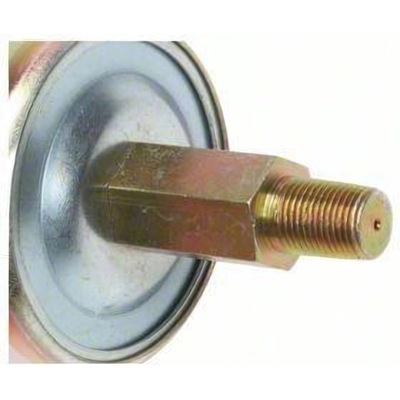 Oil Pressure Sender or Switch For Gauge by BLUE STREAK (HYGRADE MOTOR) - PS193 pa1
