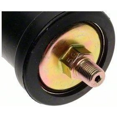 Oil Pressure Sender or Switch For Gauge by BLUE STREAK (HYGRADE MOTOR) - PS324 pa1