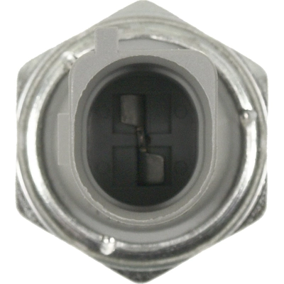Oil Pressure Sender or Switch For Light by BLUE STREAK (HYGRADE MOTOR) - PS490 pa2