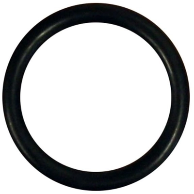 AJUSA - 16063100 - Nitrile Rubber Oil Pump Pick-Up Tube O-Ring pa1