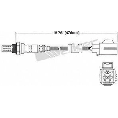 Capteur d'oxygène by WALKER PRODUCTS - 250-24455 pa2