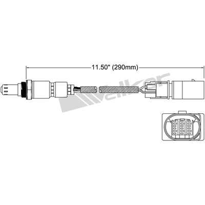 Capteur d'oxygène by WALKER PRODUCTS - 250-25060 pa2