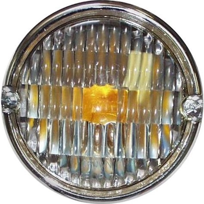 Parking Light Assembly by CROWN AUTOMOTIVE JEEP REPLACEMENT - J5752771 pa3