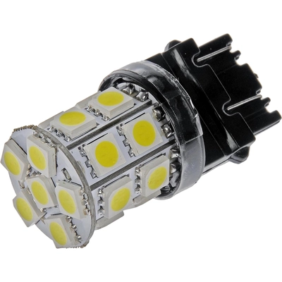 DORMAN - 3157W-SMD - Tail Light Bulb pa3