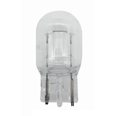 HELLA - 7440 - Reverse Lamp Bulb pa1