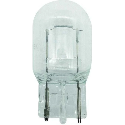 HELLA - 7440 - Reverse Lamp Bulb pa2