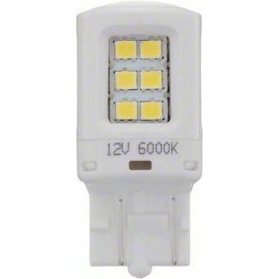 Parking Light by PHILIPS - 7443WLED pa42