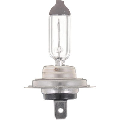 PHILIPS - H7B1 - Turn Signal Light Bulb pa2