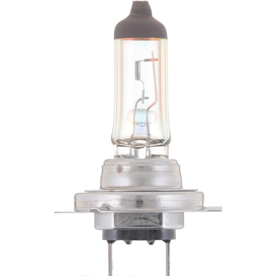 PHILIPS - H7MVB1 - Headlamp Bulb pa2