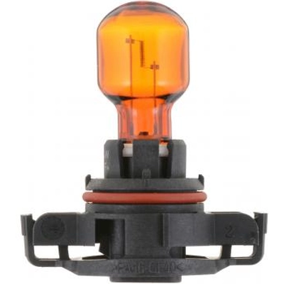 PHILIPS - PSY24WNAC1 - Turn Signal Lamp Bulb pa1