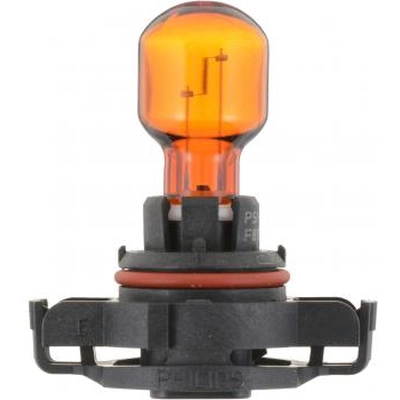 PHILIPS - PSY24WNAC1 - Turn Signal Lamp Bulb pa2