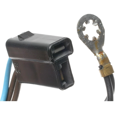 Parking Light Socket by BLUE STREAK (HYGRADE MOTOR) - S76 pa6