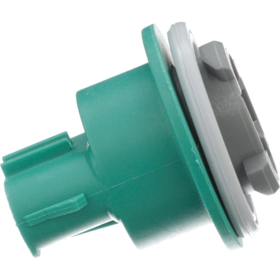 Parking Light Socket by BLUE STREAK (HYGRADE MOTOR) - S810 pa5
