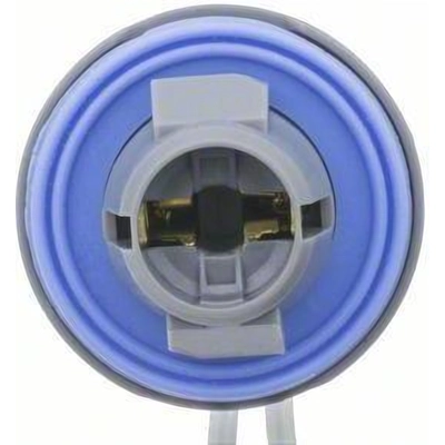 Parking Light Socket by BLUE STREAK (HYGRADE MOTOR) - HP4555 pa15