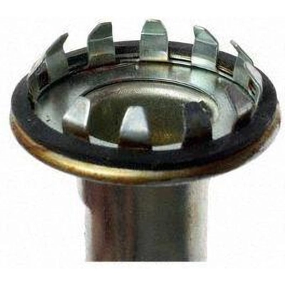 Parking Light Socket by BLUE STREAK (HYGRADE MOTOR) - S29 pa7
