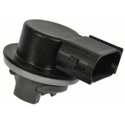 BLUE STREAK (HYGRADE MOTOR) - S879 - Parking Light Socket pa6