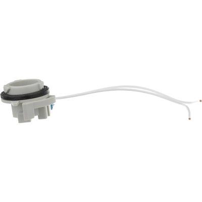 BWD AUTOMOTIVE - PT143 - Tail Lamp Socket pa4