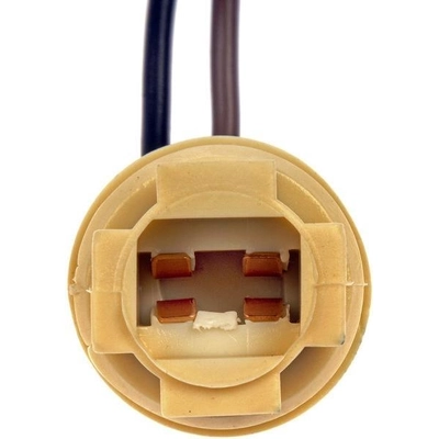 Parking Light Socket by DORMAN/CONDUCT-TITE - 85864 pa6
