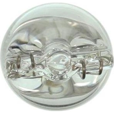 Parking Light (Pack of 10) by WAGNER - 192 pa21