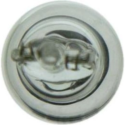 Parking Light (Pack of 10) by WAGNER - 904 pa28