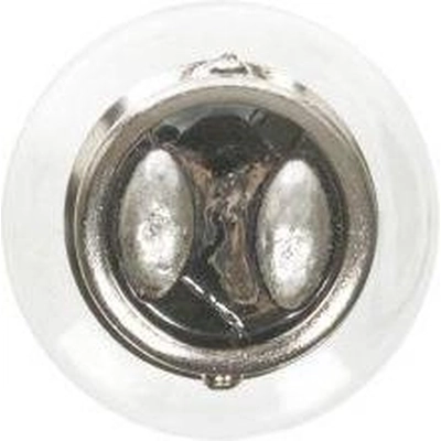 Parking Light by WAGNER - BP17916 pa13