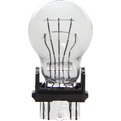 Lumière de stationnement de WAGNER - BP3157 pa5
